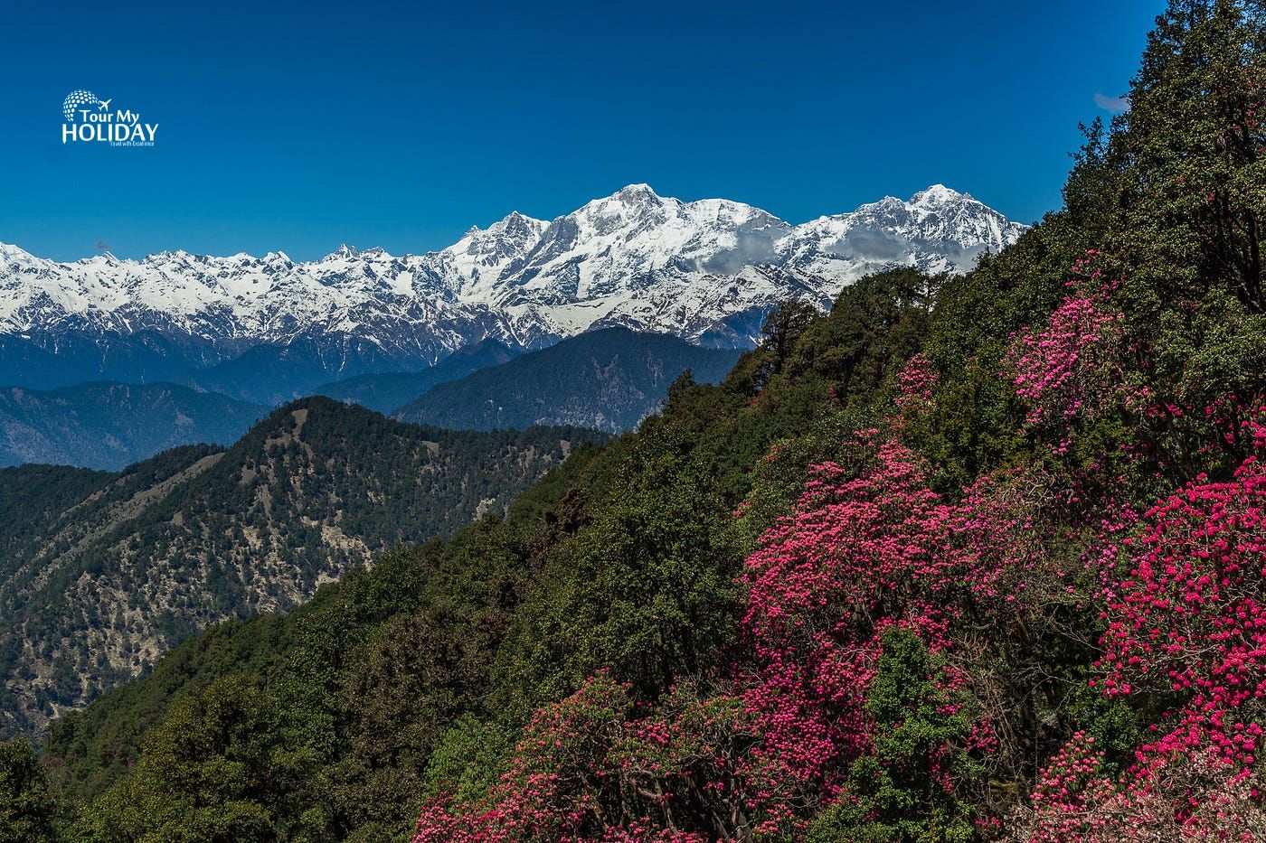 chopta tour package