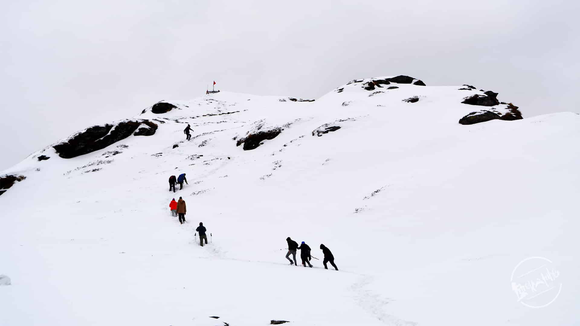 Chopta chandrashila trek